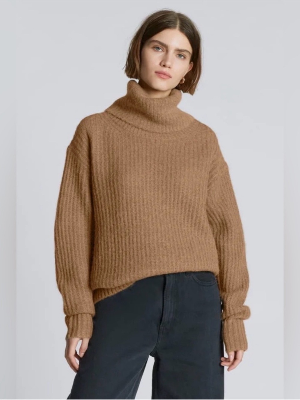 Everlane oversized alpaca wool chunky ribbed turtleneck sweater xsmall brown tan